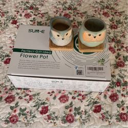 Sun E Bonsai Flower Pots Owl Face