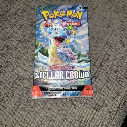 Mystery Pokémon Slab Bags