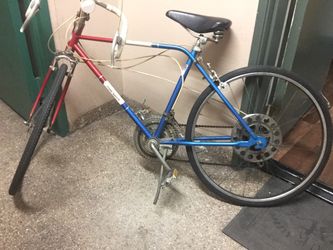 Ted Williams Road Bike 