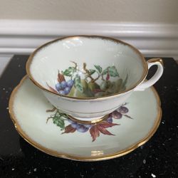 Royal Grafton Pastel Green Orchard Fruits Tea Cup and Saucer Antique Tea Cup English Bone China