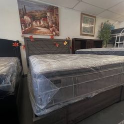 Queen Size Bed 