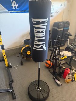 Everlast Cardio Fitness Training Bag