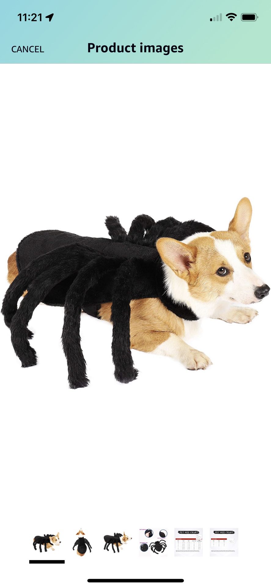 Dog Costume - Spider