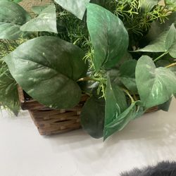 Artificial Plant Decor