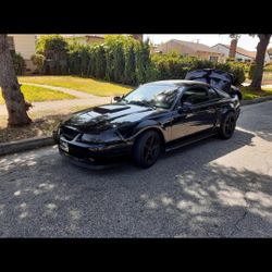 Mustang Headers