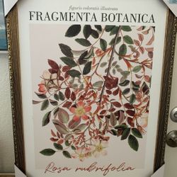 Botanical Wall Art 