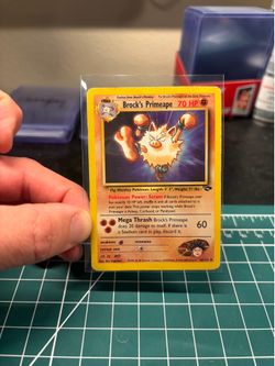 Pokemon Brocks Primeape