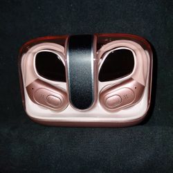 Brand New True Wireless Translator Earbuds 