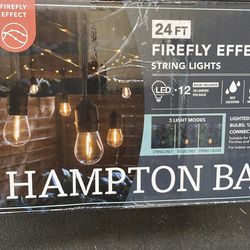 Firefly effect string lights  24ft