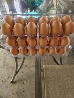 Organic Free Range AA Eggs Extra Large, High Protein (+19%), Omega 3 (5x more per Egg)