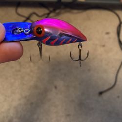 Bass Baits