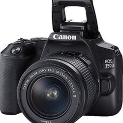 Canon EOS 250D / 18-55mm is STM Lens (International Model) (Black)