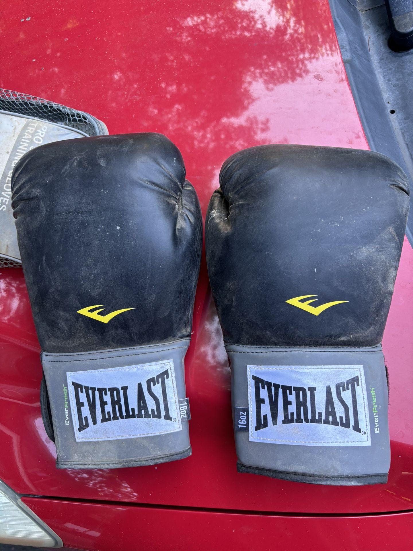 16oz Everlast Boxing Gloves - 2 Pair