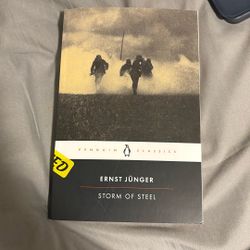 Storm Of Steel By Ernst Junger