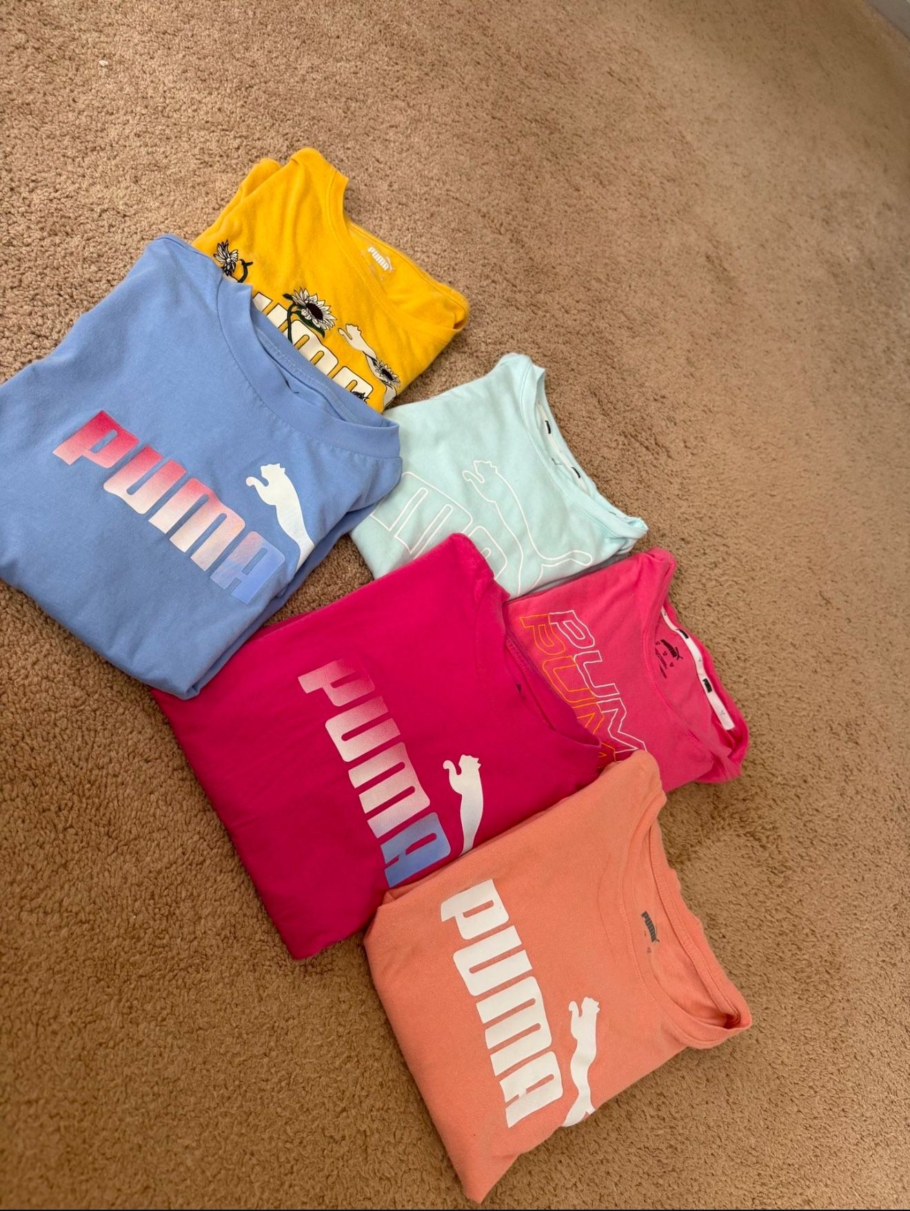 Puma