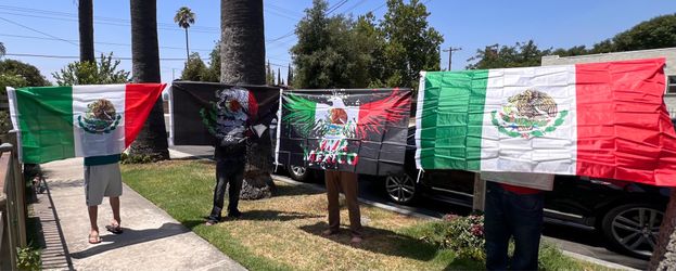 México flag size 5’x3’ thin polyester