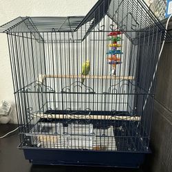 Bird Cage