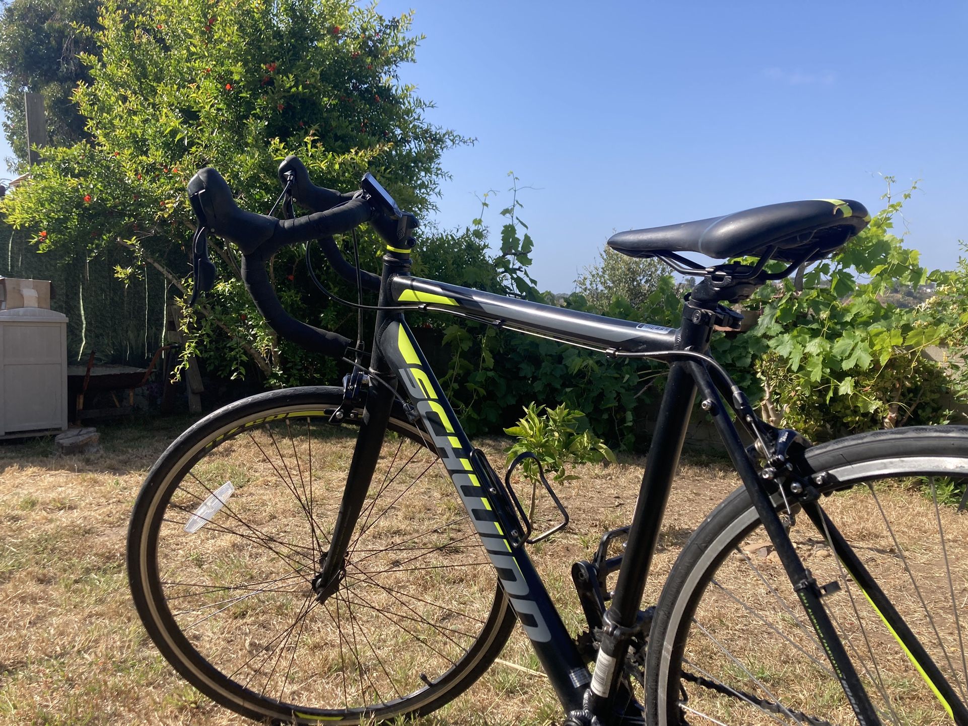 SCHWINN Phocus 1600 Road Bike Lightweight Aluminum Frame, 16 Speed