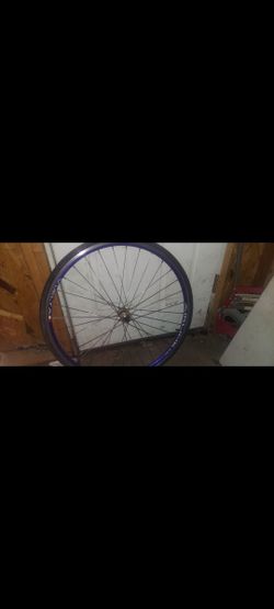 Front Rim