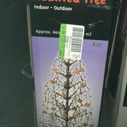 Halloween Lit Tree
