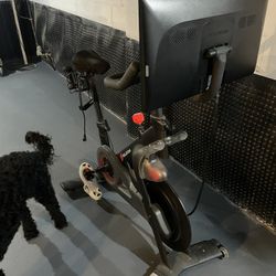Peleton Bike 