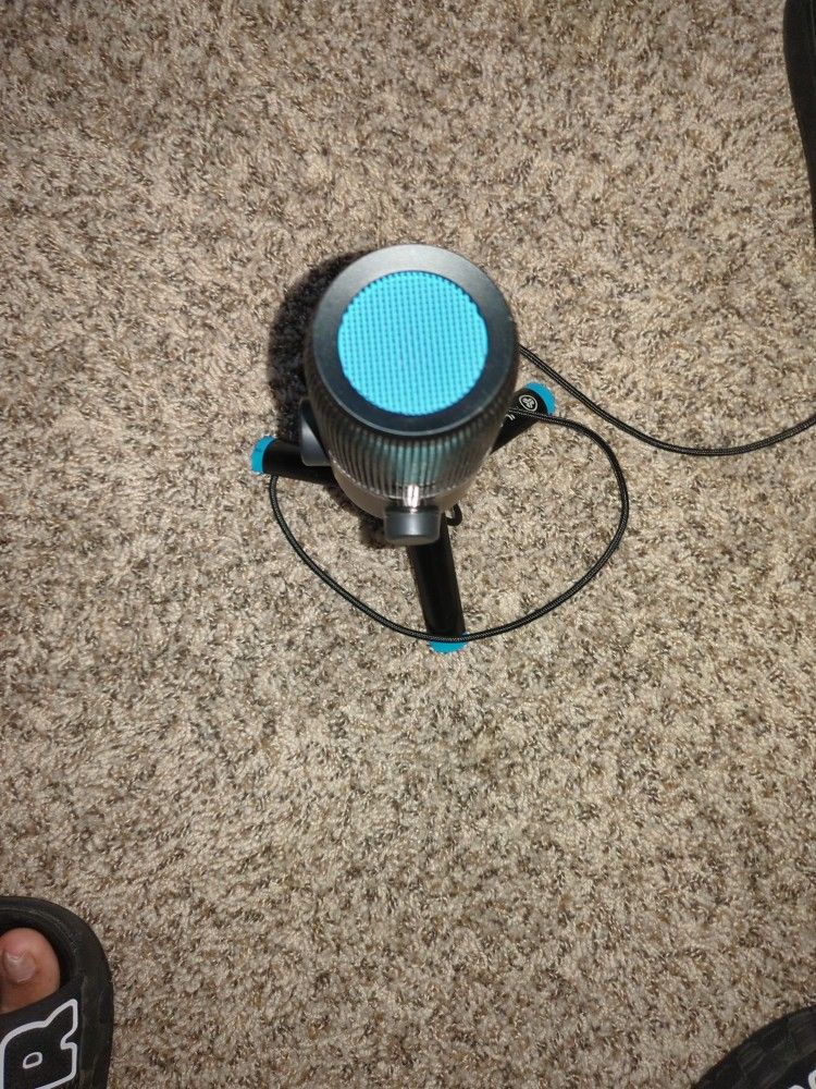 Microphone