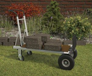 Cosco 3 N 1 dolly