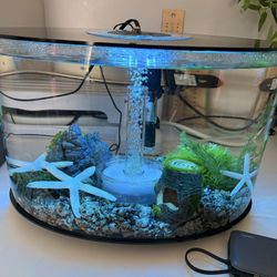 biOrb Loop-15 4-Gallon Aquarium w/LED Lights