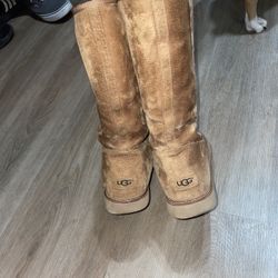 Women’s Uggs 