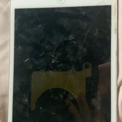 Ipad Mini 