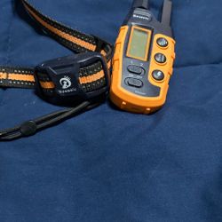 Shock Collar For Dogs