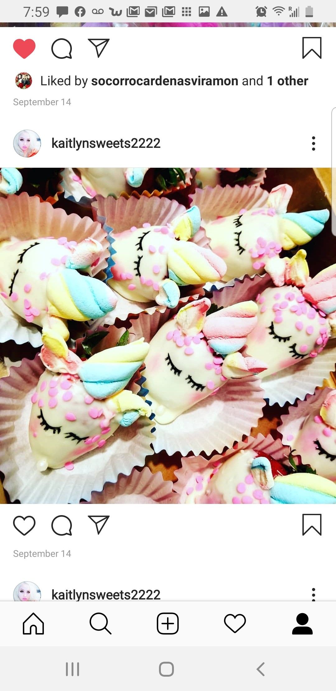 Unicorn party theme