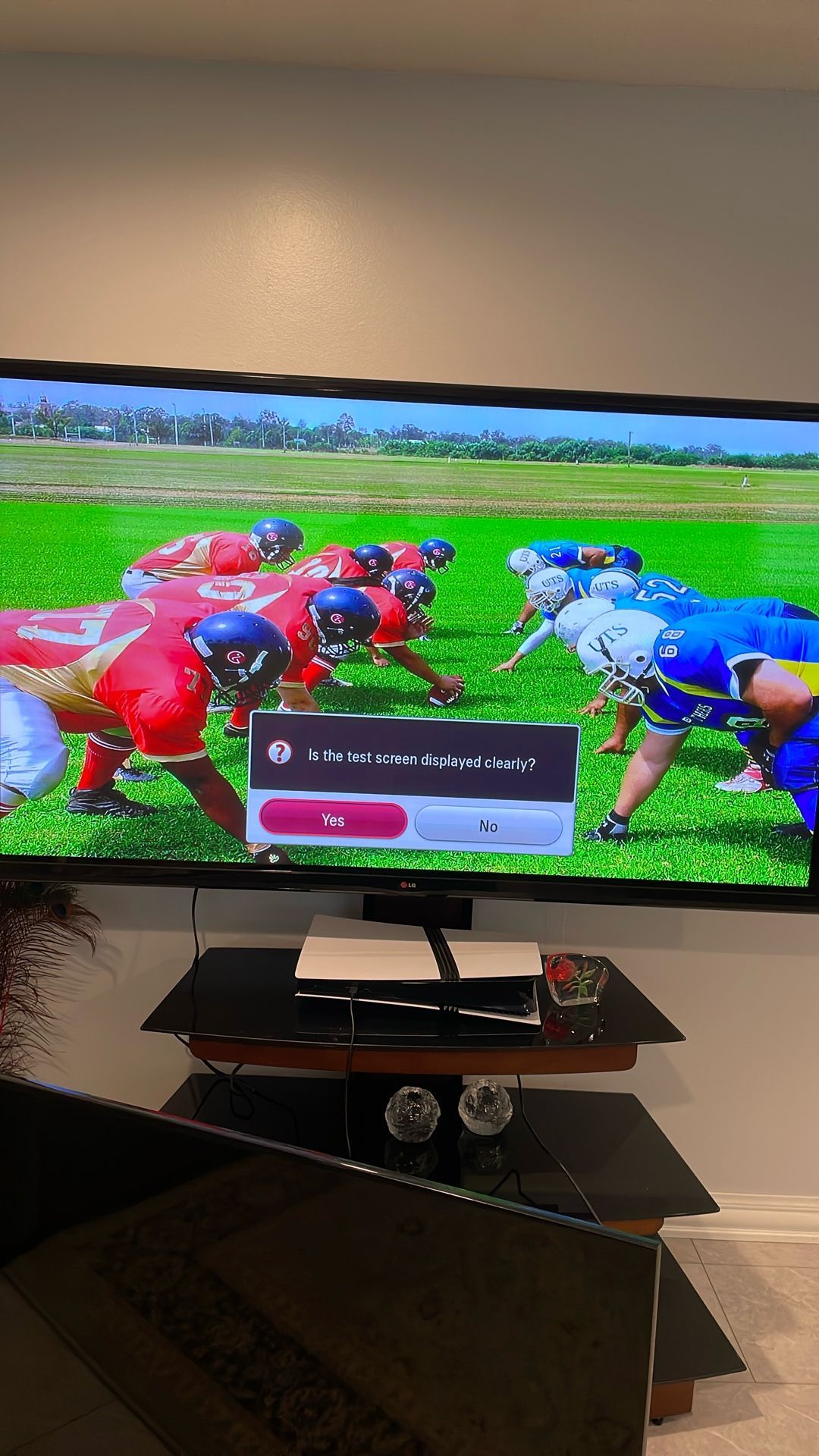 TV