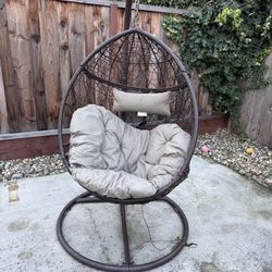 Swinging Egg Chair