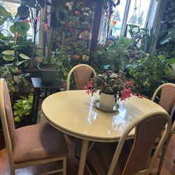 Beautiful Dining Set 48x36