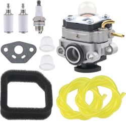 2 Cycle Carburetor 