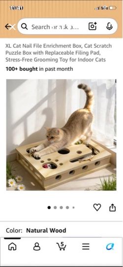 New cat scratcher toys included