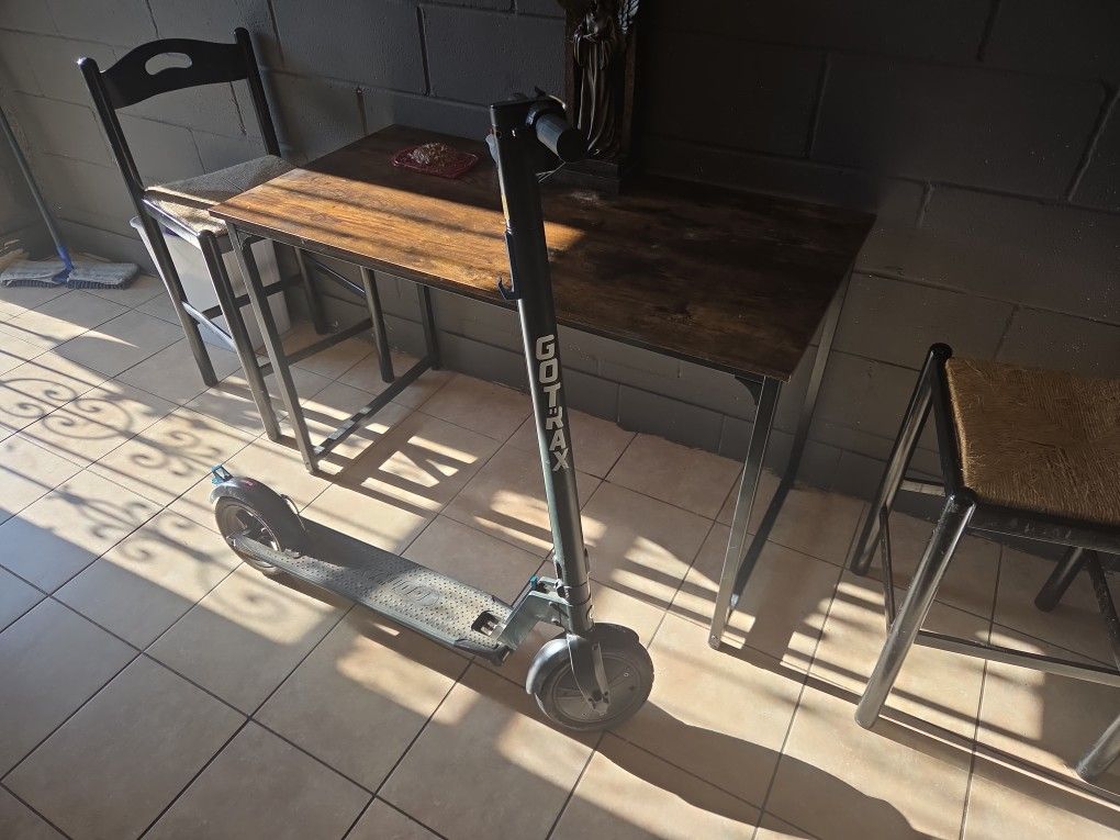 Electric Scooter 