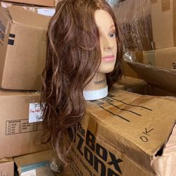 Mannequin Hair Model