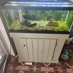 30g Fish Tank, Stand, Filter, Heater, Light