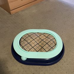 Kitten Scratch Pad