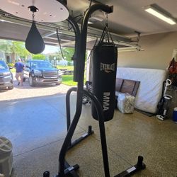 EVERLAST Punching Bag, Stand, Speed Bag And Gloves
