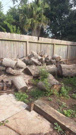 Free fire wood