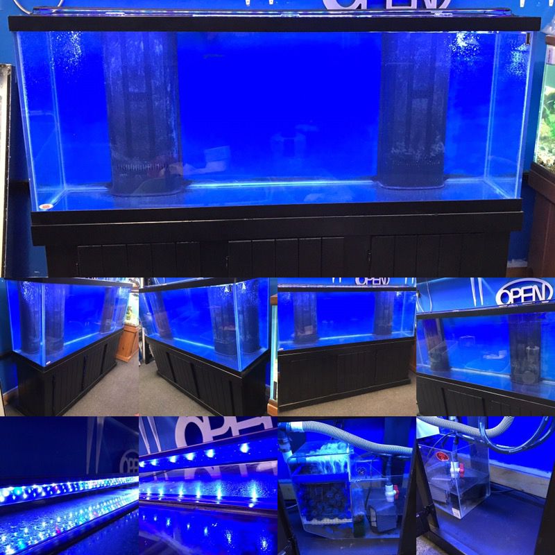 150 gallon REEF READY Aquarium fish tank complete set up $800