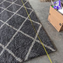 huge NFM area rug 
