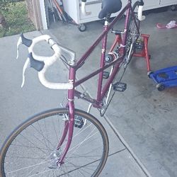 Santana TREK Tandem Bike With Stationary Bike Stand