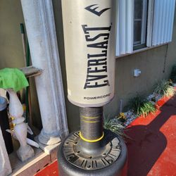 Everlast Boxing Stand