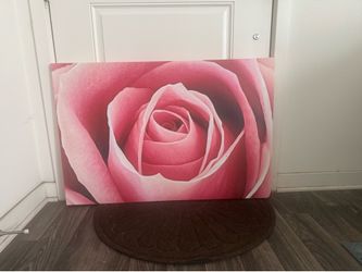 Large Pink Rose Canvas Print