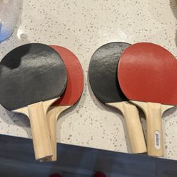 Prince Ping Pong Paddle