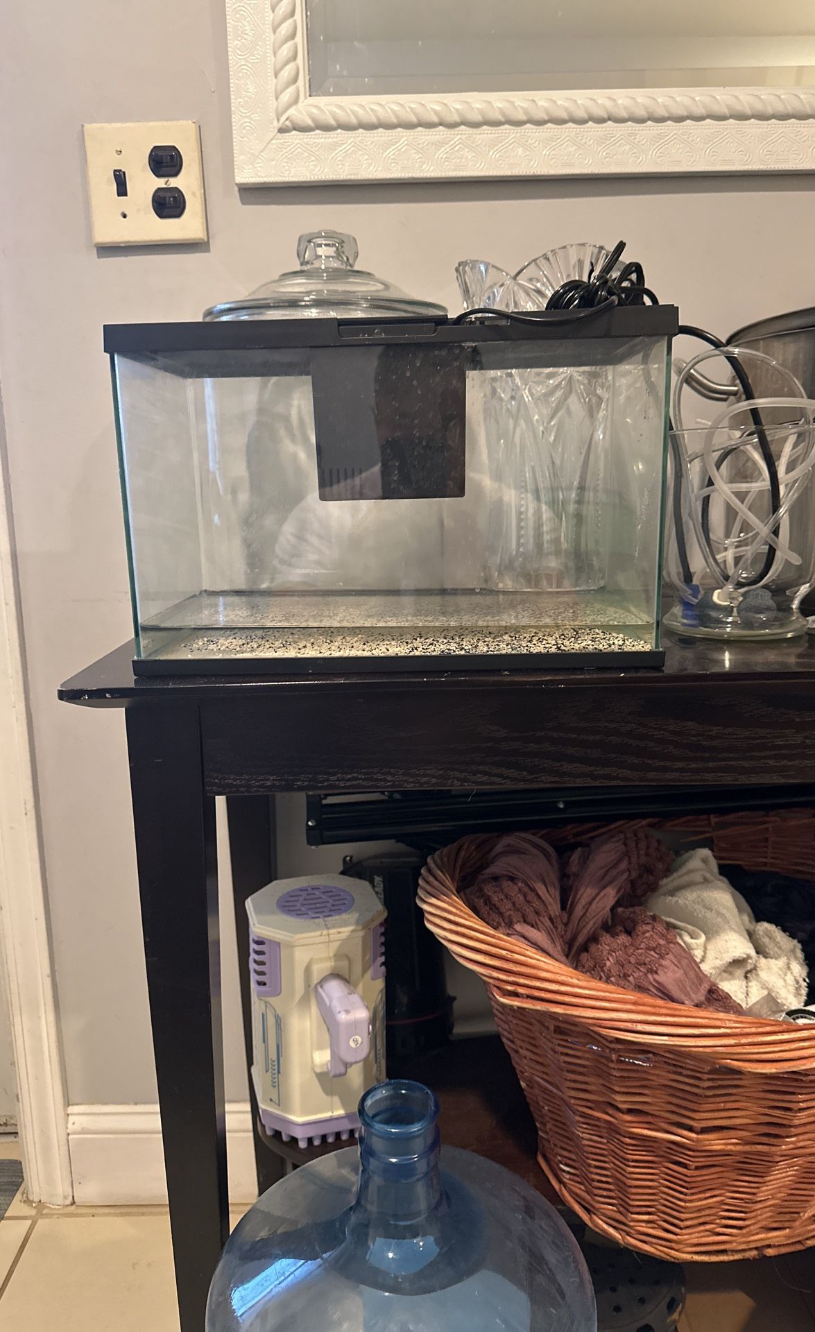 3.5 Gallon Aquarium